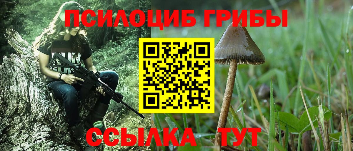 Галлюциногенные грибы мицелий Ковров