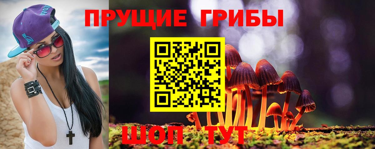 Ковров  Псилоцибиновые грибы MAGIC MUSHROOMS  Вход с VPN  Галлюциногенные грибы GOLDEN TEACHER 